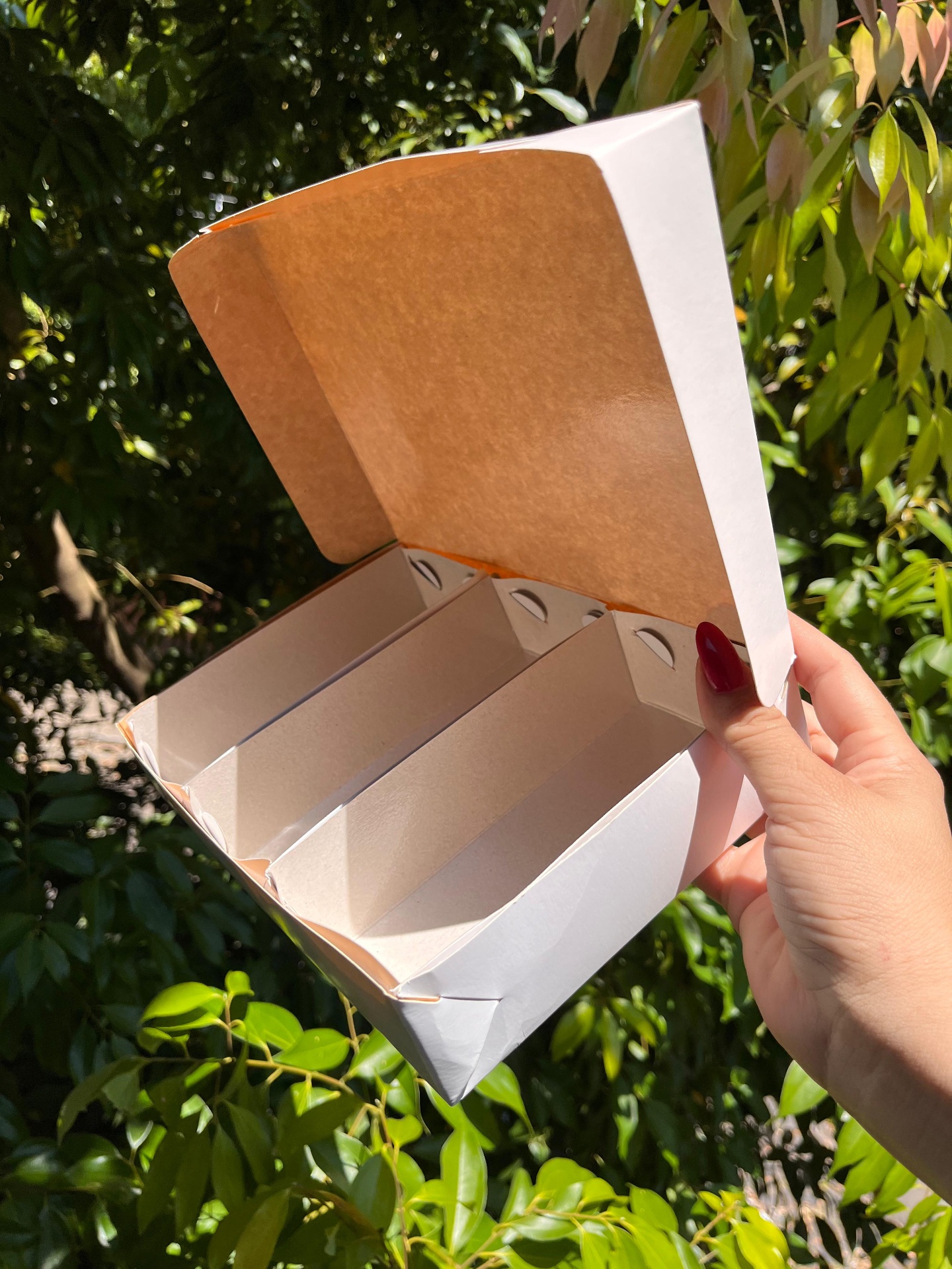 Caixa Modelo G — 25 × 17 × 5 cm