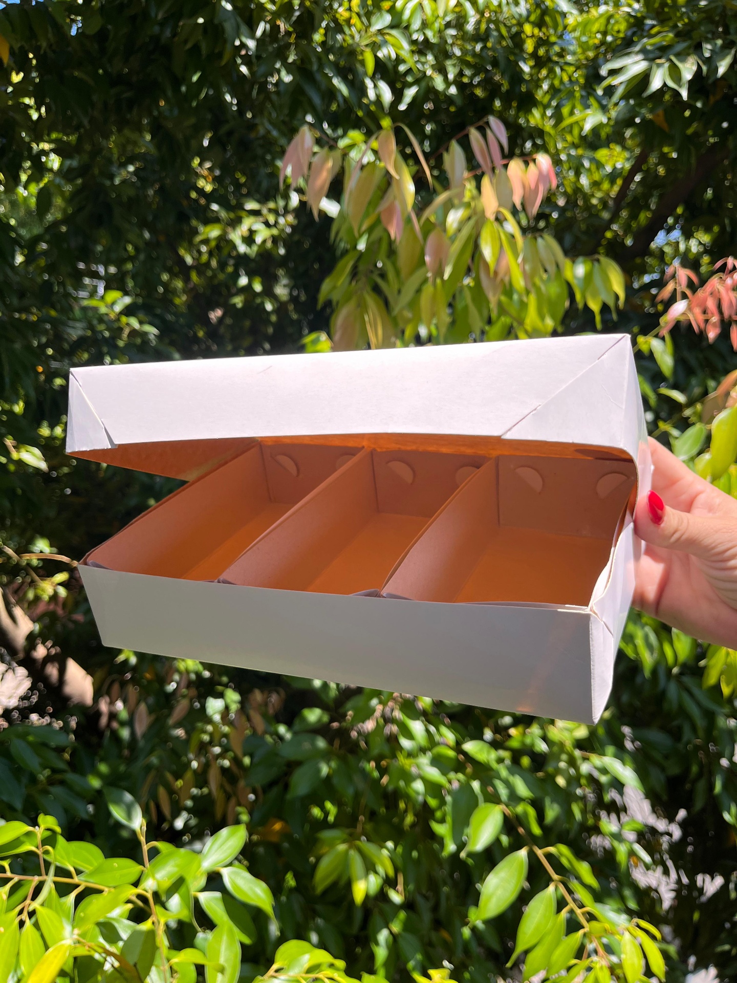 Caixa Modelo G1 — 27 × 17 × 7 cm