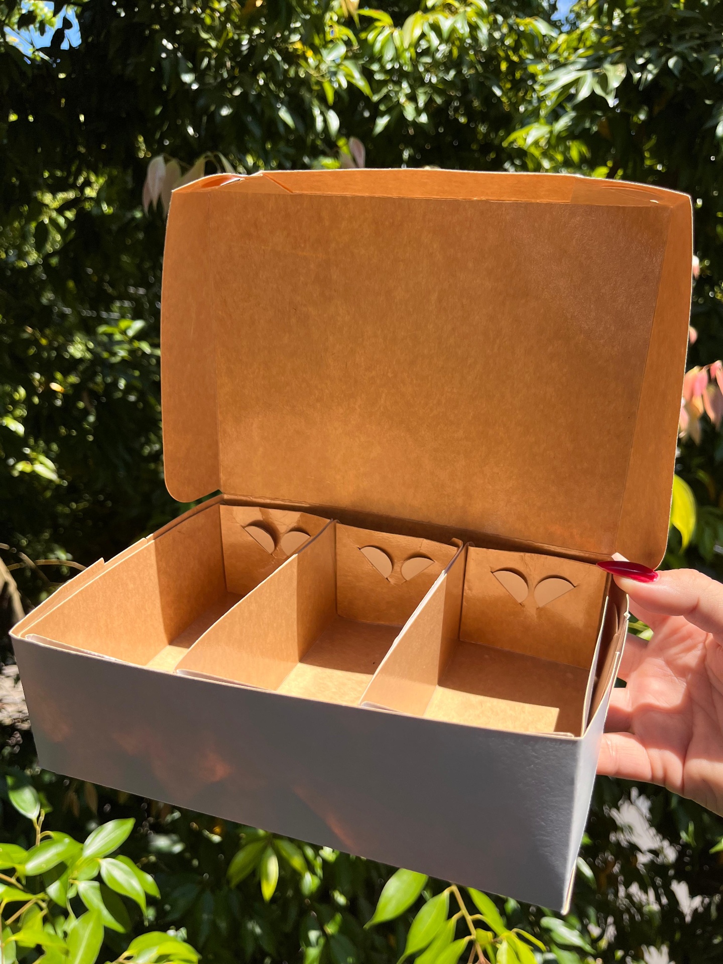 Caixa Modelo M — 15 × 19 × 5 cm