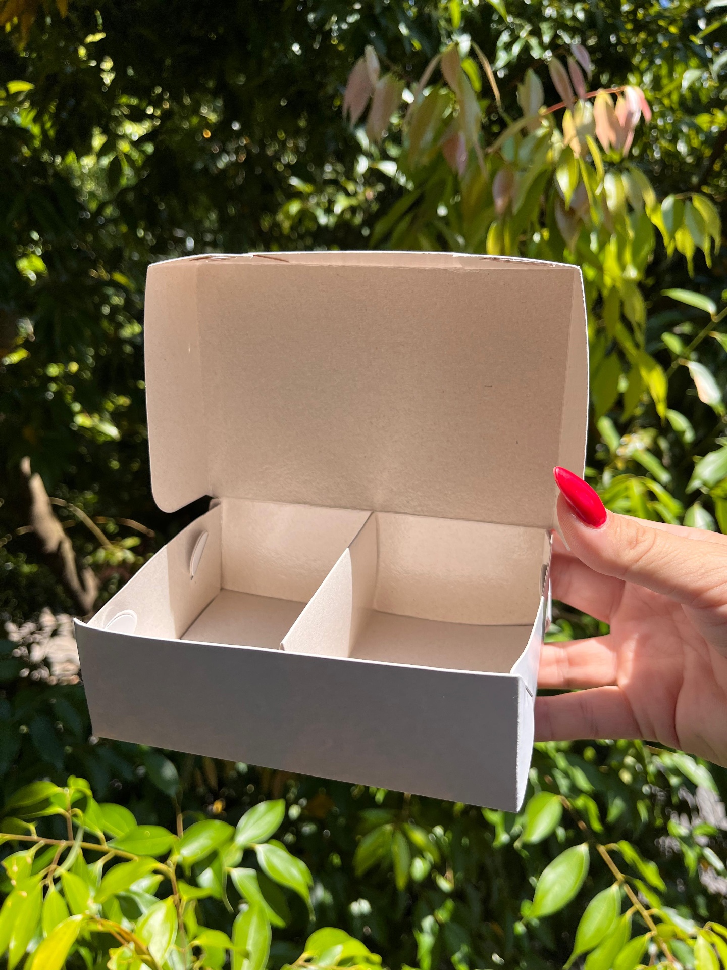 Caixa Modelo P — 10 × 15 × 5 cm